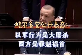 花千芳：埃尔多安公开表态：以军行为是大屠杀，西方是罪魁祸首视频封面