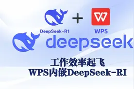 Wps内置DeepSeek-R1大模型保姆级教程视频封面