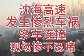 沈海高速发生惨烈车祸，多车连撞，现场惨不忍睹！视频封面