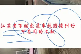 江苏老百姓交通事故赔偿纠纷可查阅的文献视频封面