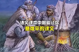 语文课本里的意难平，你还记得这些课文吗？#童年回忆视频封面