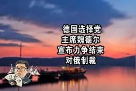 花千芳：德国选择党主席魏德尔，宣布力争结束对俄制裁视频封面