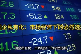 国企私有化：市场经济下的必然选择视频封面