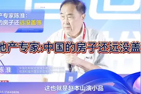 房地产专家陈淮：中国的房子还远没盖够视频封面
