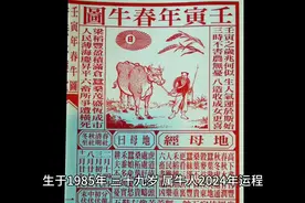 1985属牛2024运程视频封面
