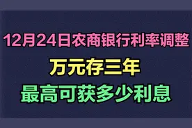 12月24日农商银行利率调整，万元存三年，最高可获多少利息视频封面