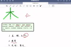 五行｜木视频封面
