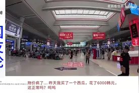 “以为韩国水果资源丰富？韩国博主逛南宁水果市场后彻底改变看法视频封面