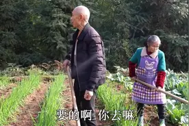 静心纯音乐，当歌曲前奏响起，减压及提升集中力视频封面