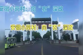 农村户口注意了！安徽小岗村：向“农”深改，乡村振兴！视频封面