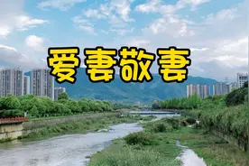 爱妻敬妻视频封面