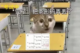 当你把超市条形码贴到答题卡上 #猫meme #搞笑 #给瓦火 #真实还原视频封面