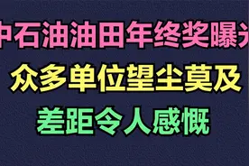 中石油油田年终奖曝光，众多单位望尘莫及，差距令人感慨视频封面