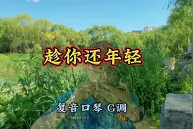 这世界属于你 只因为你年轻 《趁你还年轻》复音口琴 G调视频封面