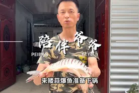 公婆回乡心疼开销，茂林夫妇立即拿5000，97岁爷爷说还想跟着出游视频封面