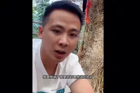 阿强哥谢谢你，不管多少钱，为了我你都愿意付出…感动视频封面