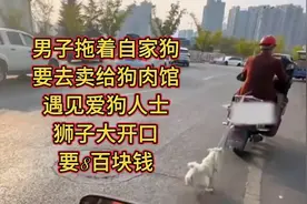 男子拖着自家狗要去卖给狗肉馆，遇见爱狗人士狮子大开口要8百块视频封面
