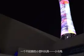 小乌龟厂长为感谢全红婵，来到迈合村免费送小乌龟，小孩一人10个视频封面