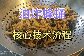 大师的菜，家乡的味！油炸蜂蛹的核心技术！湘菜特色美食视频封面