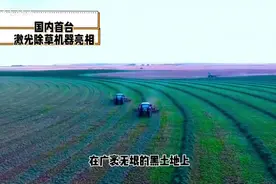 外网热议：华工&哈工大首创激光除草机器人，农业除草新纪元视频封面