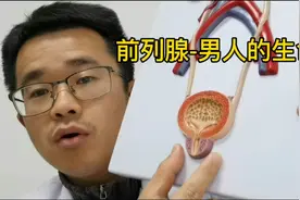 前列腺是男性特有的性腺器官，号称男人的生命腺。视频封面