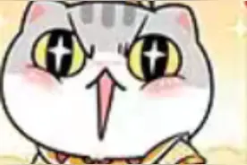 我是猫视频封面