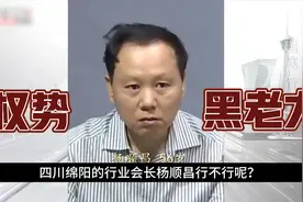 四川绵阳市最有权势的黑老大，他的保护伞多达92人！#杨顺昌覆灭视频封面