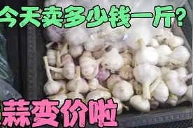 山东大蒜变价啦，今天去菜市场，看看卖多少钱一斤？市场人真多视频封面
