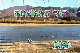 公交直达，初冬到京郊来看“海”，门头沟永定河畔视频封面