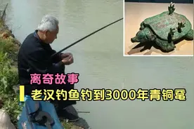 河南老汉钓鱼，竟钓到一只3000年青铜鼋，专家喜称老汉运气真好！视频封面