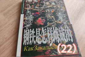 世界文学名著《钢铁是怎样炼成的》〔俄〕尼.奥斯特洛夫斯基 22