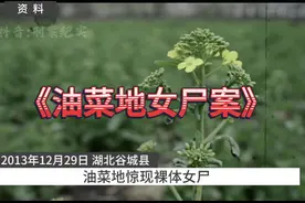 真实案件！湖北襄阳《油菜地女尸案》视频封面