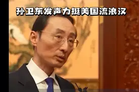 拿着绿卡的孙博士，只能流落街头视频封面