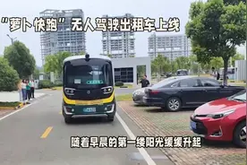 武汉"萝卜快跑"上线视频封面