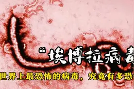 “埃博拉病毒”，世界上最恐怖的病毒，它到底有多可怕？视频封面