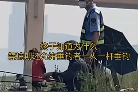 终于明白禁捕期为何允许一人一杆垂钓。鱼儿：朝廷又来发赈灾粮了视频封面