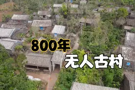 海南高速旁发现无人村，800年古村如今无一人，到底发生了啥？视频封面