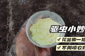 农民小妙招，往土里撒一把，虫害一个不剩还疏松土壤，比草灰好用视频封面