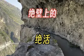 川滇交界的挂壁路，最窄不足半米，当地人在上面骑车如履平地视频封面