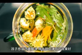 孩子感冒流黄鼻涕喝金银花薄荷饮效果好视频封面