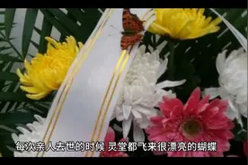 世界是假的“证据”视频封面