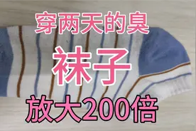 穿过两天的袜子放大200倍，看看有多脏？视频封面