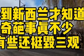 来到新西兰才知道，奇葩事真不少，有些还挺毁三观视频封面