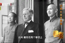 档案-风物长宜放眼量视频封面