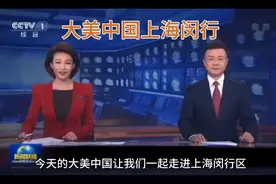 今天的大美中国让我们一起走进上海闵行区，聆听这里的历史故事。视频封面
