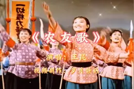 《农友歌》欢快旋律，回味无穷，带你重温那个年代！🎶🌾视频封面