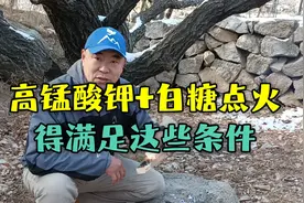 高锰酸钾+白糖点火，得满足这些条件视频封面