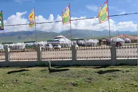 今天被藏獒追了几次，太刺激了视频封面