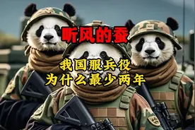 听风的蚕｜为什么我国服兵役至少两年？视频封面