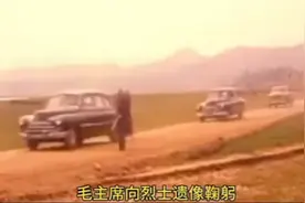 爱民如子，高呼万岁视频封面